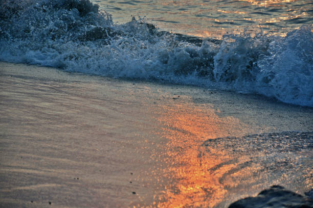 istock Golden Sand at Sunrise Along Ocean's Edge 811492700