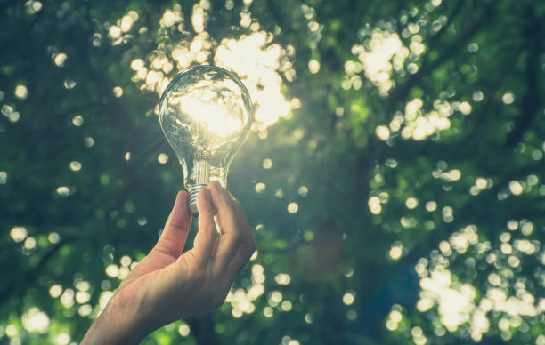 Hand of person holding light bulb for idea or success or solar energy stock photo