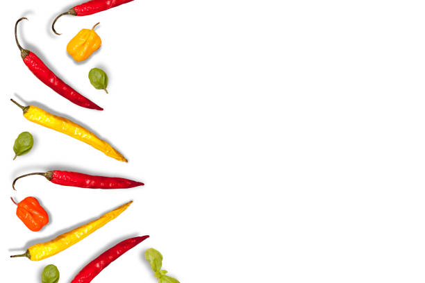 Sharp pepper on a white background. Oriental cuisine. in the kitchen.