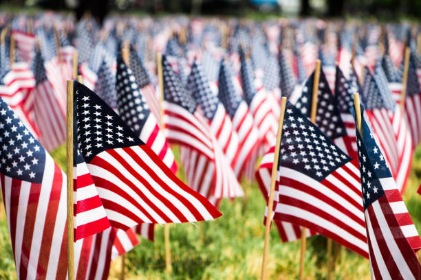 istock Large Group of American Flags in the Grass 811503076