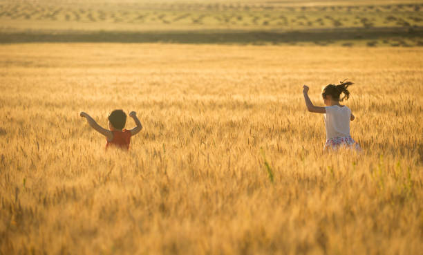 istock Young kids plaing at sunset 811506046