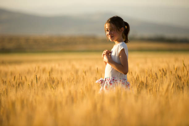 istock In the field of wheat 811518592
