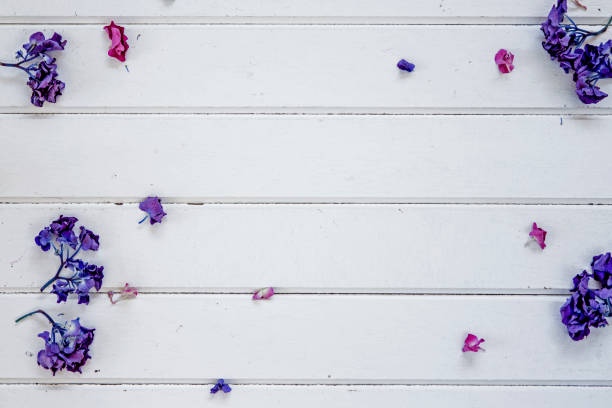 Lilac flowers on white wooden background, top view