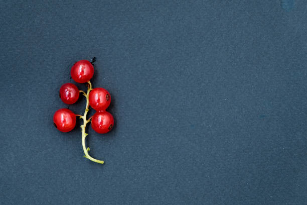 Red ripe currants on a dark background. Droplets of water