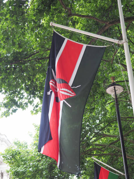 istock Kenyan Flag of Kenya 811535396