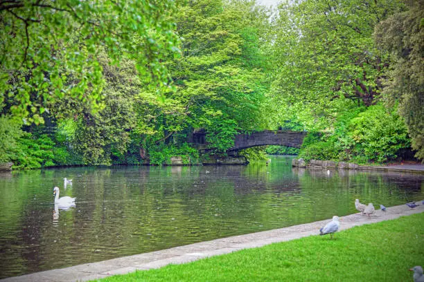 Photo of St. Stephen's Green in Dublin, Ireland