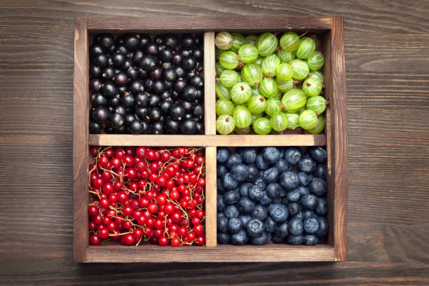 red black currant blueberry gooseberry in a wooden box on an old table. - berry fruit currant variation gooseberry imagens e fotografias de stock