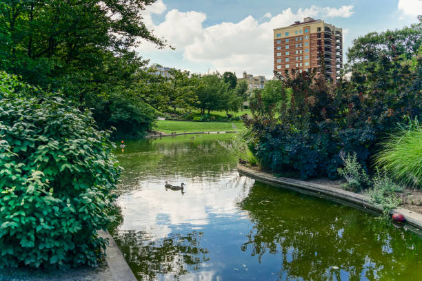istock The Park with Pond and trees 811552072