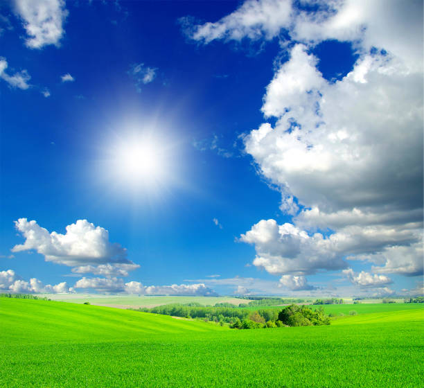 istock green field and blue sky 811562988