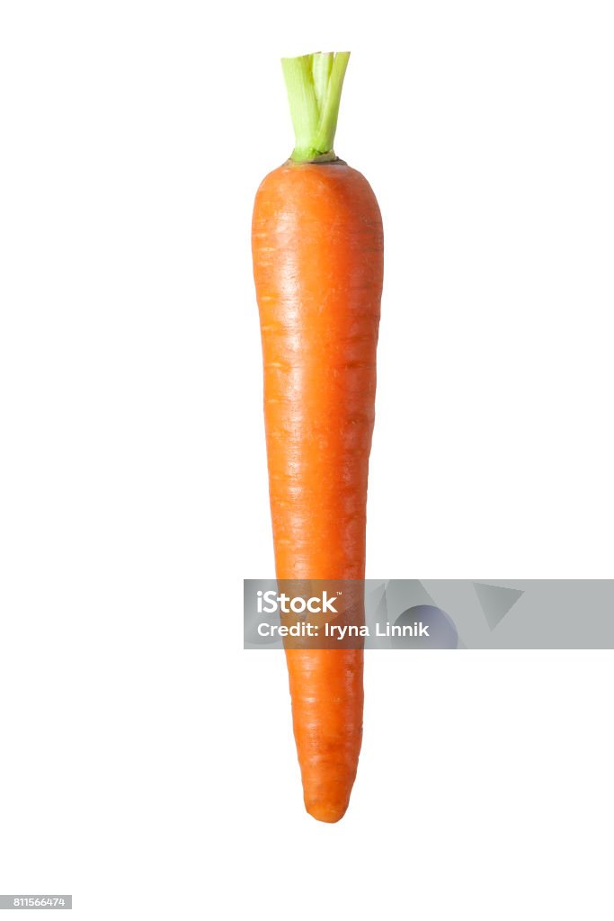 Fresh carrot isolated on the white background . Fresh carrot solated on the white background Carrot Stock Photo