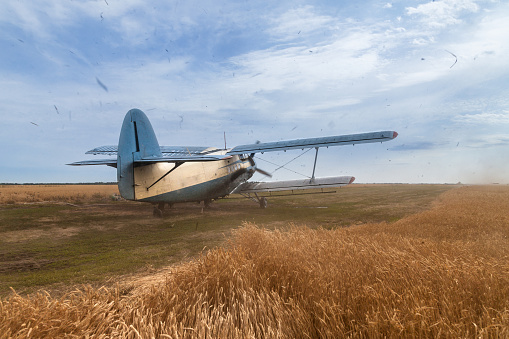 Plane stands on a wheat field. Propeller is rotating and making strong wind and loud noise. A lot of dust is in the air.  Blue cloudy sky is in the background.