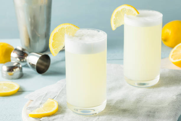 Refreshing Cold Egg Gin Fizz Refreshing Cold Egg Gin Fizz with a Lemon Garnish carbonated photos stock pictures, royalty-free photos & images