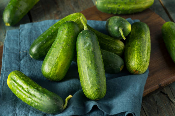 istock Raw Green Organic PIckle Cucumbers 811605396