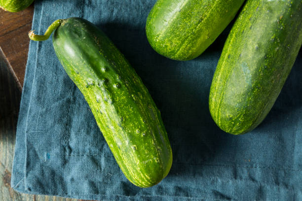 istock Raw Green Organic PIckle Cucumbers 811610080