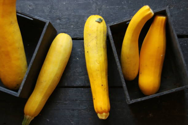 Healthy eating, food, dieting idea. Raw Organic Yellow Zucchini stock photo