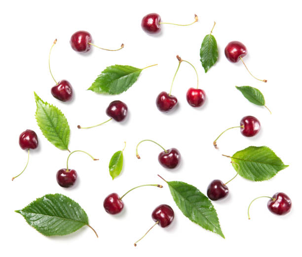 istock Ripe cherry berries and cherry leaves pattern isolated on white background, top view 811610632