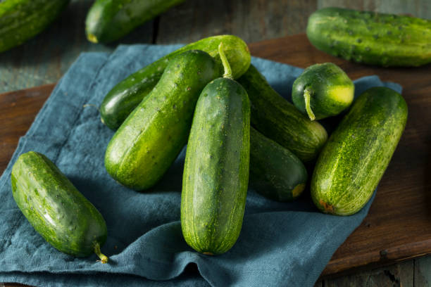istock Raw Green Organic PIckle Cucumbers 811614780