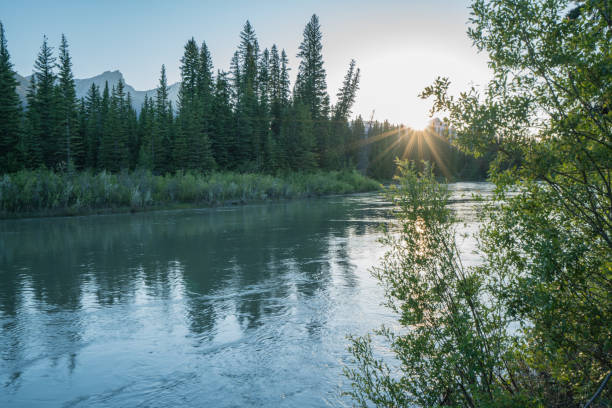 istock Bow river and Canadian Rockies at sunset 811633016