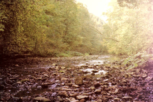 istock Black Forest hiking trail through the Wutachschlucht, Germany 811656794