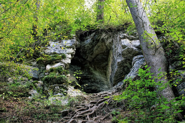 istock Black Forest hiking trail through the Wutachschlucht, Germany 811661026