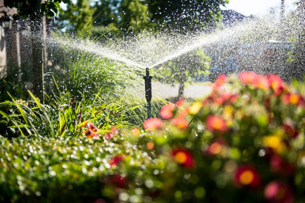 o jardim - equipamento de irrigação - fotografias e filmes do acervo