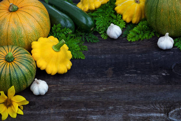 istock Fresh organic gardening vegetables 811676938