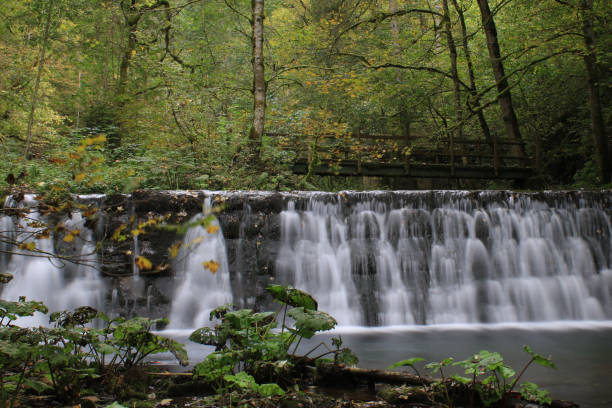 istock Waterfall in the Black Forest in Germany 811677182