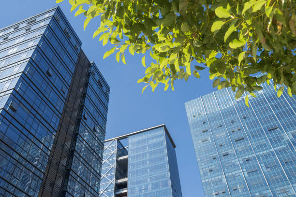 istock Business towers and Green leaves 811679380