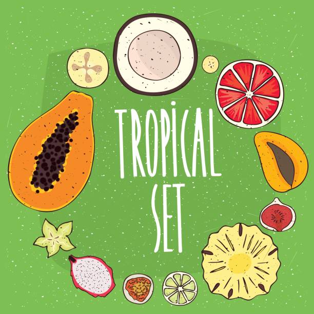 ilustraciones, imágenes clip art, dibujos animados e iconos de stock de conjunto de frutas tropicales aisladas en secciones transversales - feijoo