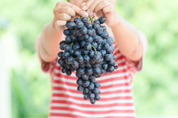 istock Woman holding red grape in hand 811687212