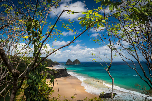 istock Fernando de Noronha - Brazil 811704788
