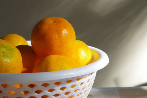 Early morning sunlight brightening up the oranges.