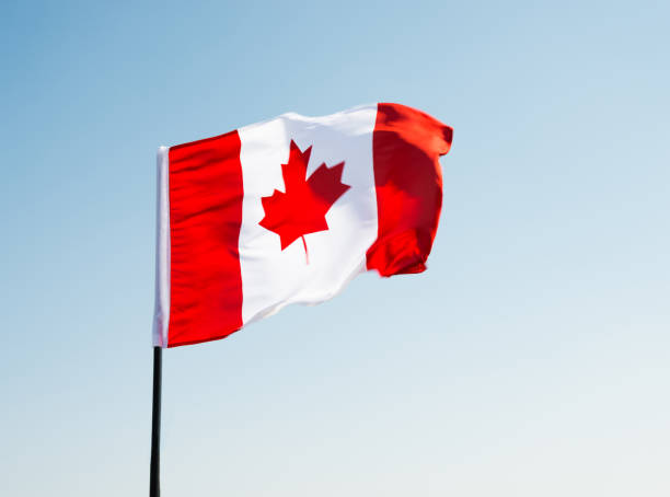 istock Canadian flag waving  against clear blue sky 811740996