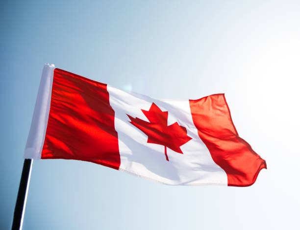 kanadische flagge winkt gegen klaren blauen himmel - canadian flag fotos stock-fotos und bilder