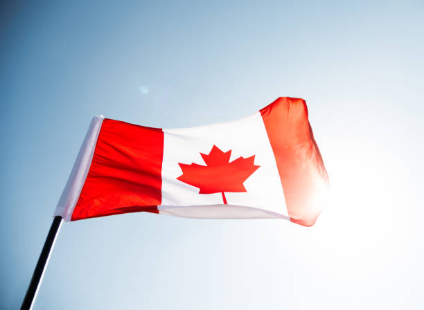 istock Canadian flag waving  against clear blue sky 811741038