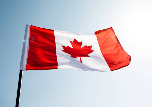 istock Canadian flag waving  against clear blue sky 811741058