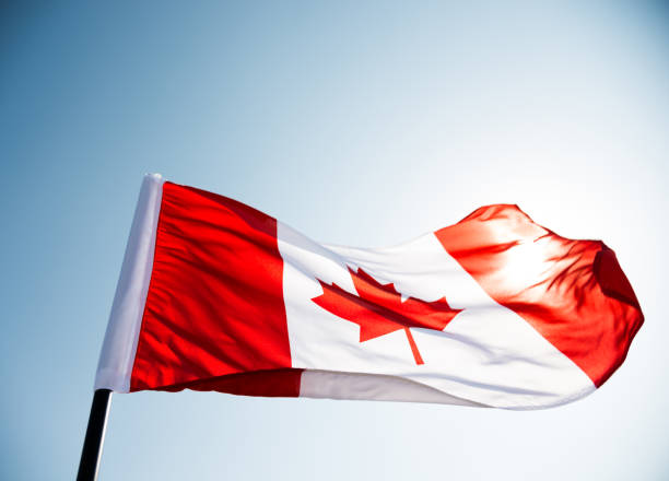 istock Canadian flag waving  against clear blue sky 811741064