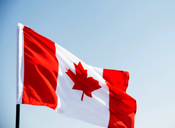 istock Canadian flag waving  against clear blue sky 811741070