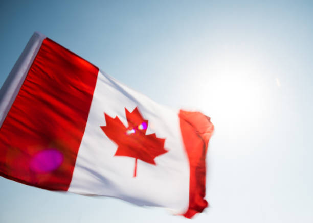 istock Canadian flag waving  against clear blue sky 811741080