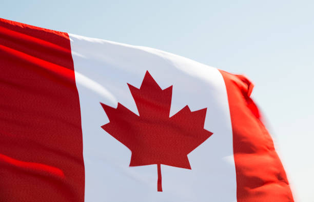 istock Canadian flag waving in the wind 811741114