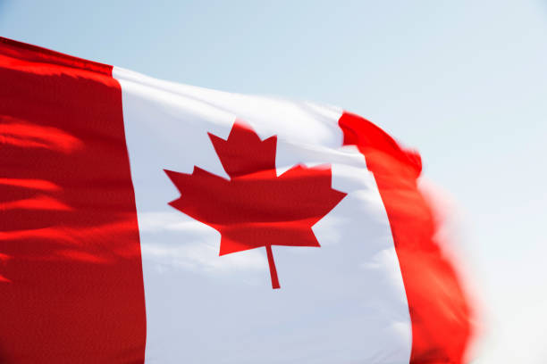 istock Canadian flag waving in the wind 811742962