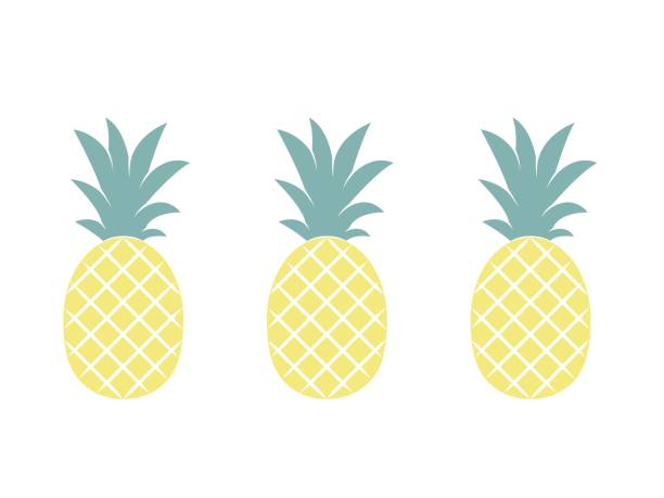 ananas-frucht. vektor-illustration. - isolierte farbe grafiken stock-grafiken, -clipart, -cartoons und -symbole