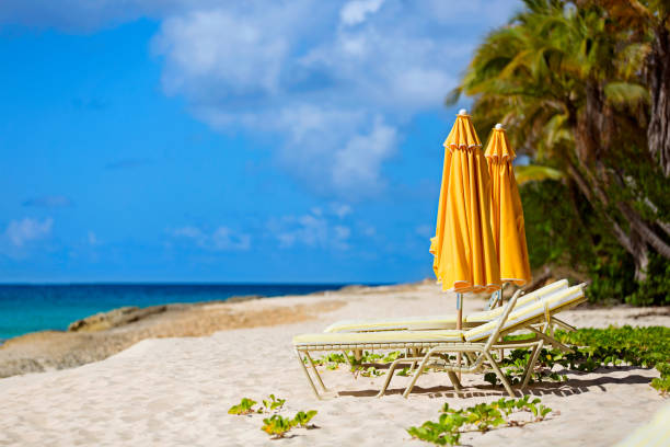 istock sunbeds at the beach 811767786