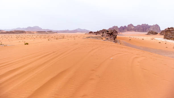 istock View of Wadi rum desert 811782682