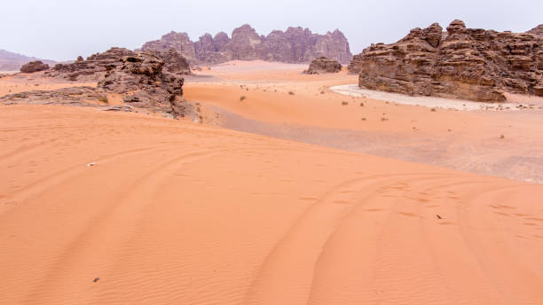 istock View of Wadi rum desert 811782702