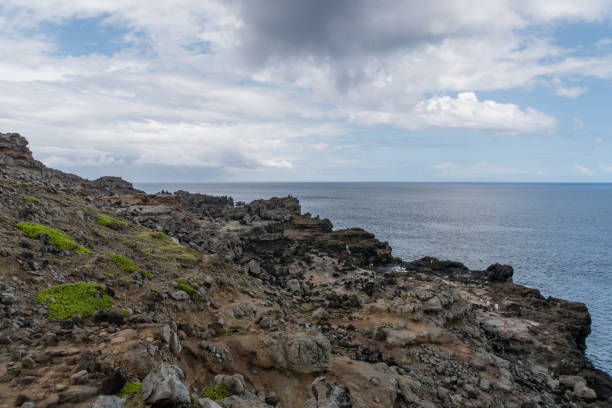 istock Nakalele Blowhole, Maui 811787270