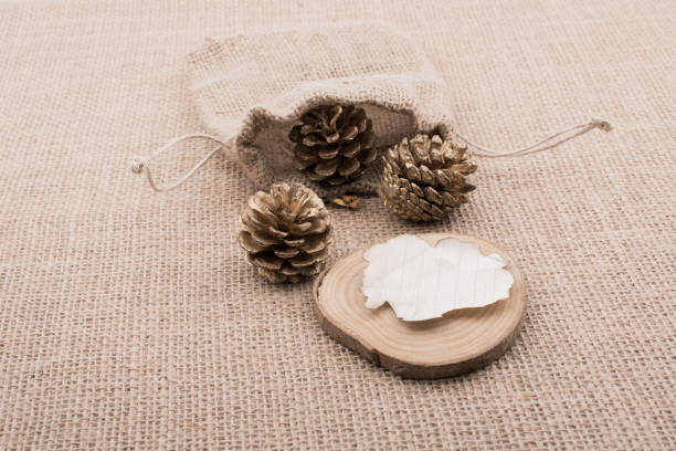 istock Pine cones out of sack and burnt paper 811790006