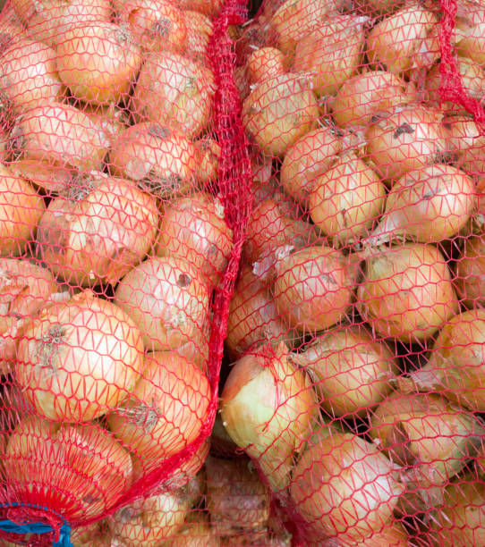 oignon dans une grille. - onion bag netting vegetable photos et images de collection