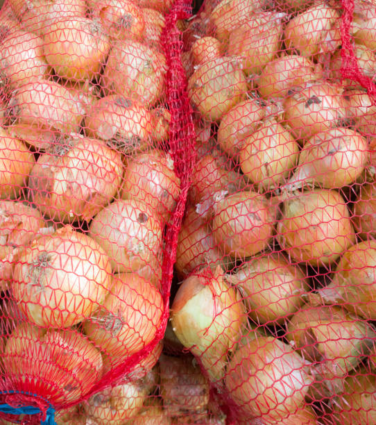 onion in a grid. - onion bag netting vegetable imagens e fotografias de stock