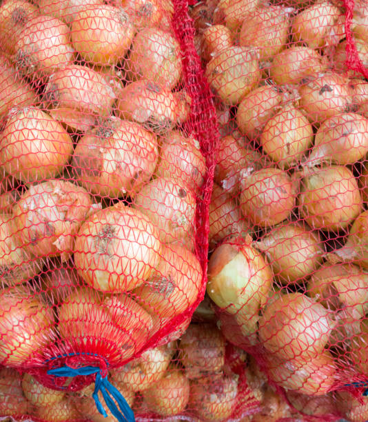 oignon dans une grille. - onion bag netting vegetable photos et images de collection